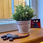 Modernes 1-zi-apartment Fuer 2 Personen, Ruhig & Nahe Bamberg Adelsdorf